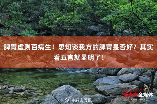 脾胃虚则百病生！思知谈我方的脾胃是否好？其实看五官就显明了！