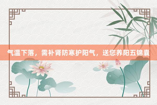 气温下落，需补肾防寒护阳气，送您养阳五锦囊