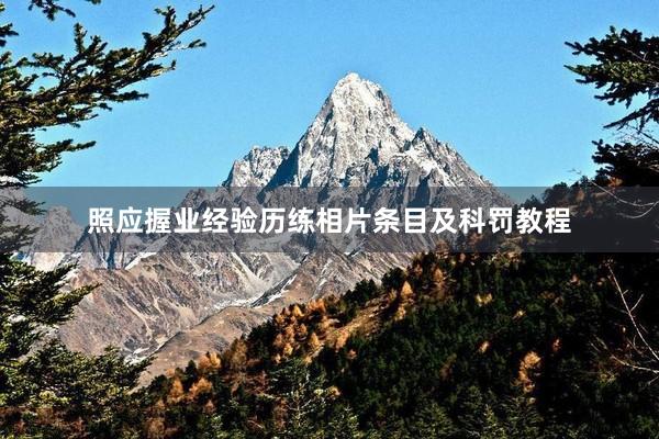 照应握业经验历练相片条目及科罚教程